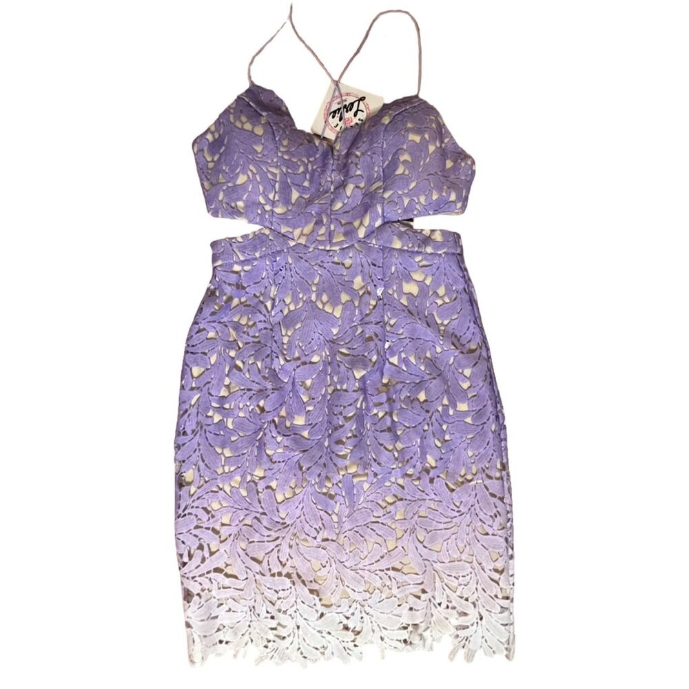 NWT Leslie Ombre Mini Dress